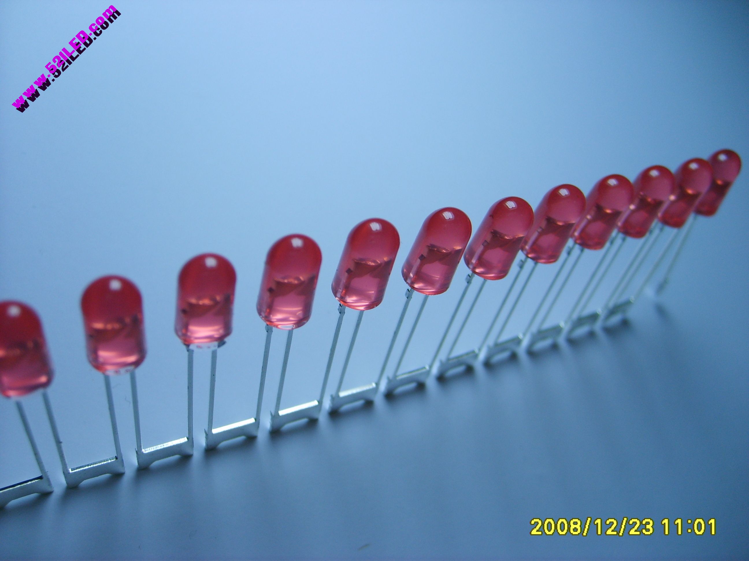 S5004566.JPG