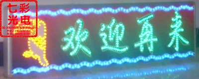 啄木鸟( ⊙ o ⊙ )啊！.jpg