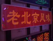 20081011133041463[1].gif