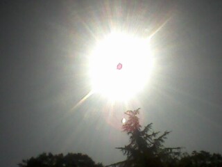 IMG0195A.jpg