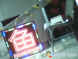 9158_26016546.JPG