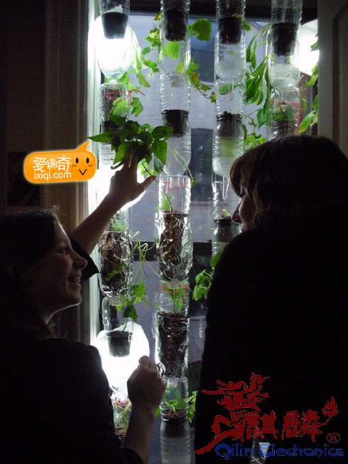 20100716_farm_13.jpg
