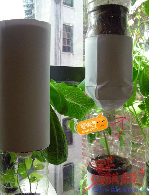 20100716_farm_6.jpg