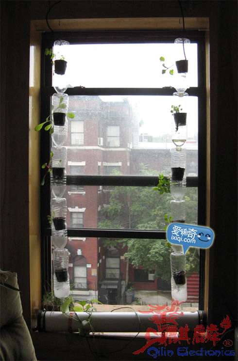 20100716_farm_12.jpg