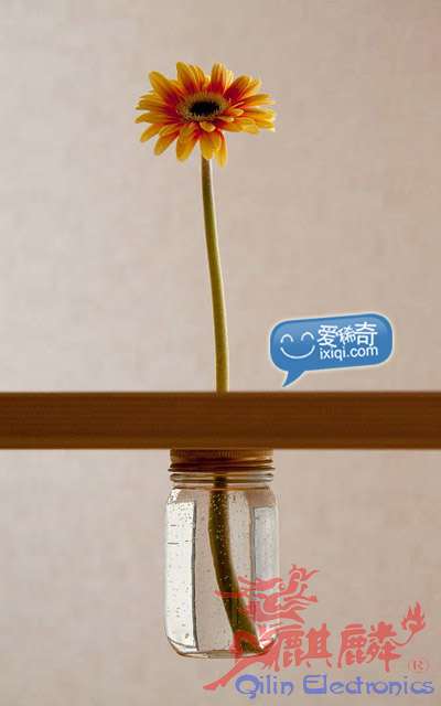 20100527_vase_2.jpg
