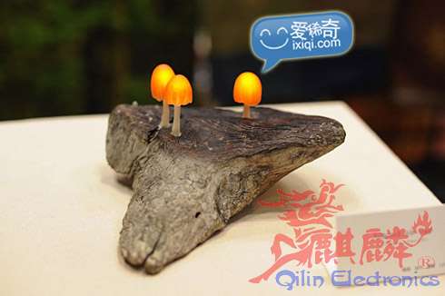 20100805_led_4.jpg